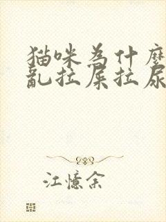 猫咪为什么忽然乱拉屎拉尿