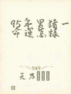 95年男猪一生命运怎样