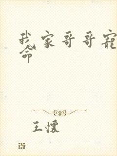 我家哥哥宠妹如命