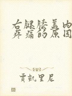 右腿膝盖内侧筋疼痛的原因