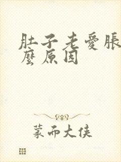 肚子老爱胀气什么原因