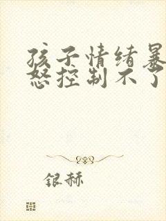 孩子情绪暴躁易怒控制不了封面