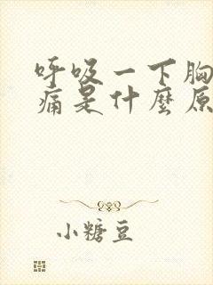 呼吸一下胸口会痛是什么原因