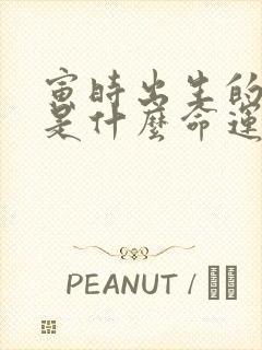 寅时出生的男孩是什么命运封面