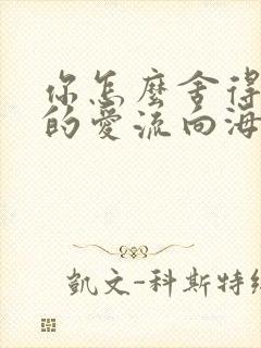 你怎么舍得让我的爱流向海