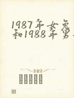 1987年女兔和1988年男龙姻缘如何