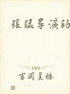 张猛导演的作品