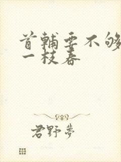 首辅要不够po一枝春