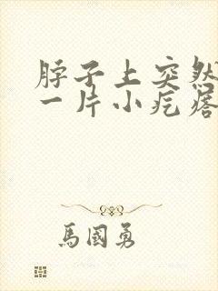 脖子上突然起了一片小疙瘩