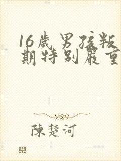 16岁男孩叛逆期特别严重怎么办还打父母