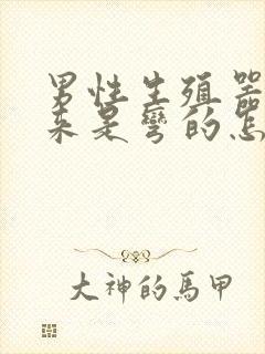 男性生殖器硬起来是弯的怎么办封面