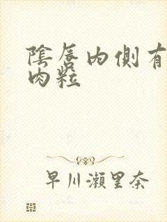 阴唇内侧有一排肉粒