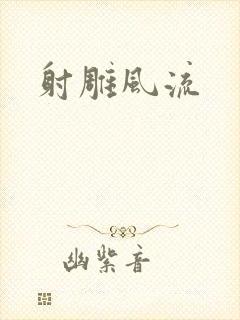 射雕风流
