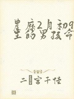 农历2月初9出生的男孩命运