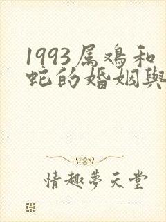 1993属鸡和蛇的婚姻与命运