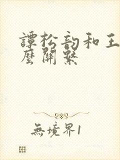 谭松韵和王凯什么关系