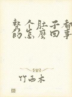 整个肚子都硬硬的怎么回事