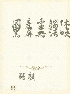 国产电脑休眠后黑屏无法唤醒怎么办