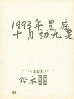 1993年农历十月初九是什么命