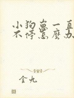 小狗崽一直叫个不停怎么办