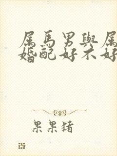 属马男与属虎女婚配好不好