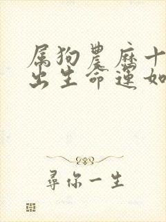 属狗农历十一月出生命运如何封面