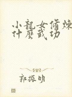 小龙女修炼的是什么武功封面