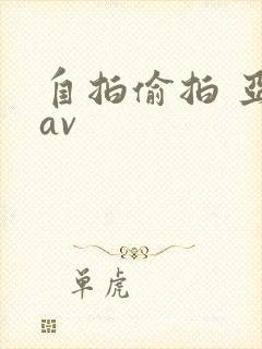 自拍偷拍 亚洲av