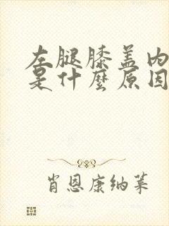 左腿膝盖内侧痛是什么原因