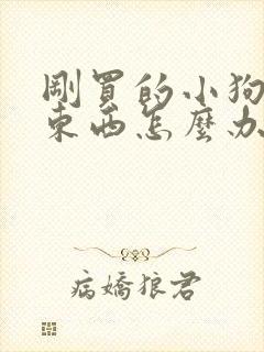 刚买的小狗不吃东西怎么办