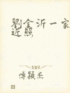 刘金沂一家三口近照