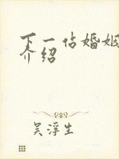 下一站婚姻剧情介绍