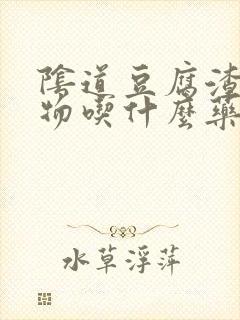 阴道豆腐渣分泌物吃什么药