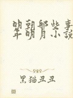 明朝那些事儿当年明月小说免费无弹窗