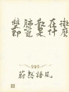 双肺散在微小结节灶是什么意思?