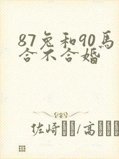 87兔和90马合不合婚