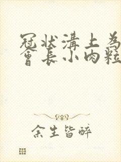 冠状沟上为什么会长小肉粒