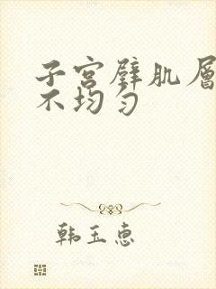 子宫壁肌层回声不均匀