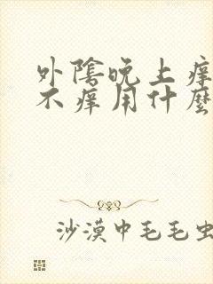 外阴晚上痒白天不痒用什么药封面