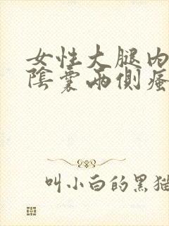 女性大腿内侧与阴囊两侧瘙痒潮湿发黑