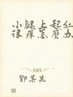 小腿上起红疙瘩很痒怎么办