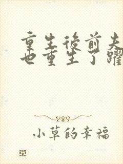 重生后前夫全家也重生了跃青封面