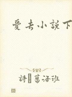 爱去小说下载网