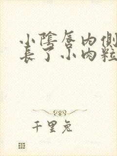 小阴唇内侧突然长了小肉粒封面