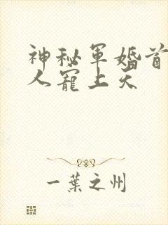 神秘军婚首长大人宠上天封面