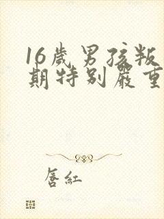 16岁男孩叛逆期特别严重怎么办还打父母