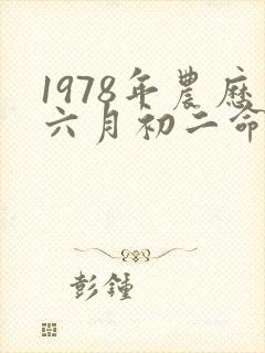 1978年农历六月初二命运