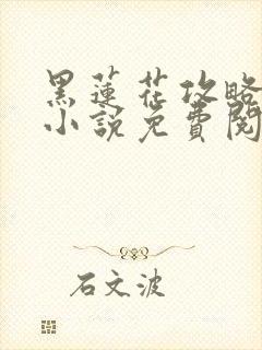 黑莲花攻略手册小说免费阅读