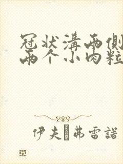 冠状沟两侧长了两个小肉粒