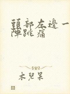 头部左边一阵一阵跳痛封面